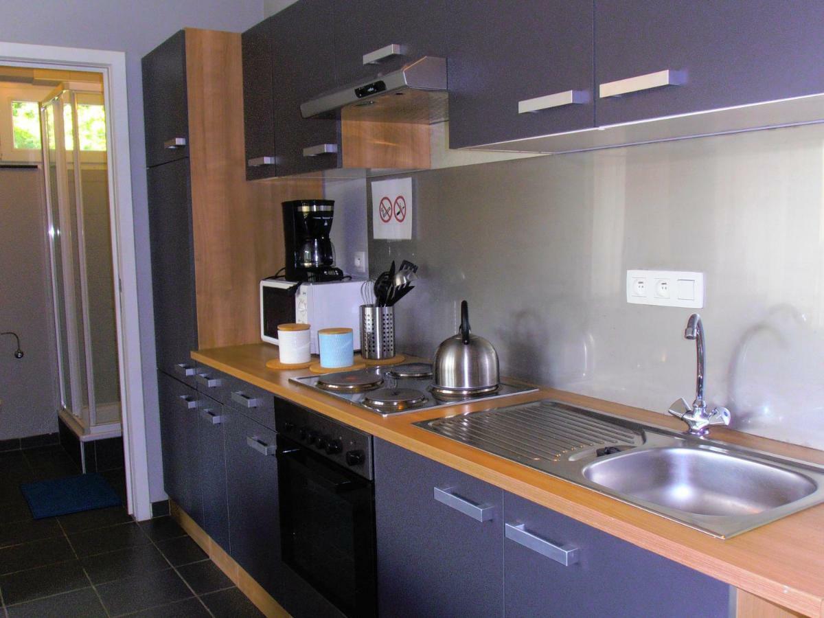Studio Le Vedeur Avec Balcon Vue Sur Riviere Durbuy Ngoại thất bức ảnh
